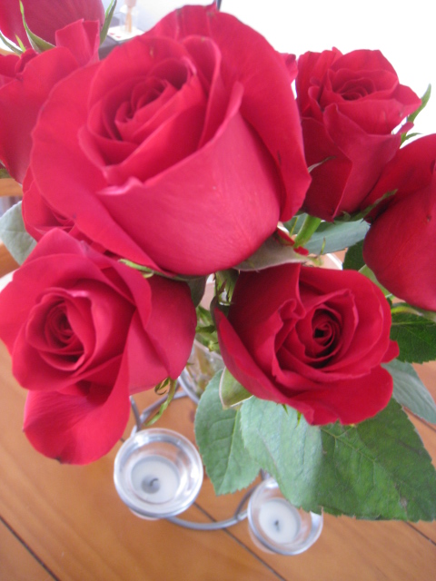 c0159828_4463975.jpg