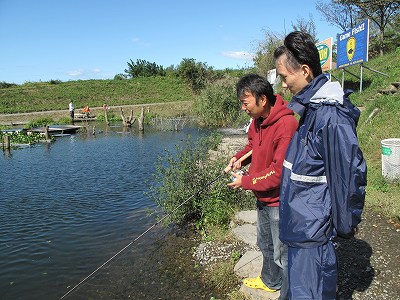 d0137029_11595320.jpg