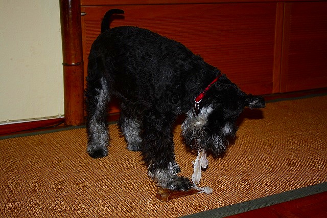 c0153740_4593572.jpg