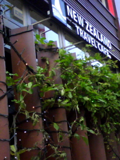 f0164842_2157274.jpg