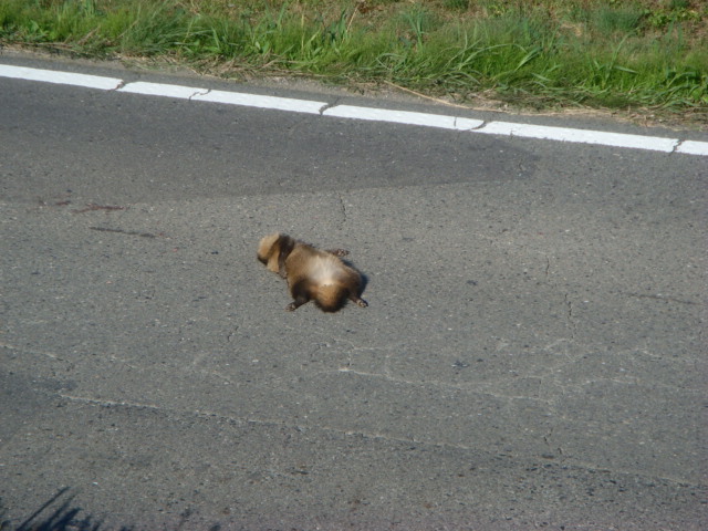 b0097645_22353946.jpg