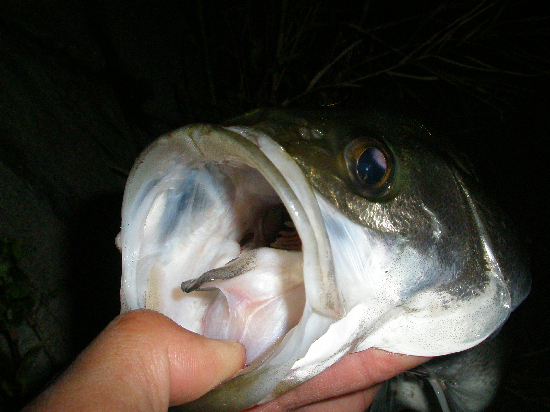 f0150151_19481640.jpg