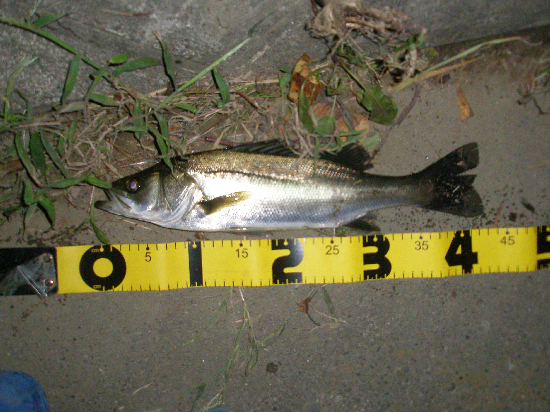f0150151_20447.jpg