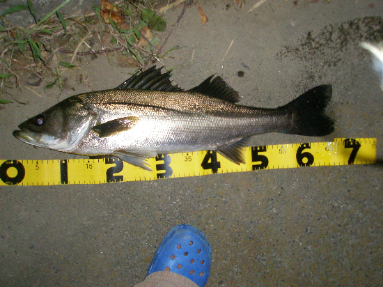 f0150151_2055136.jpg