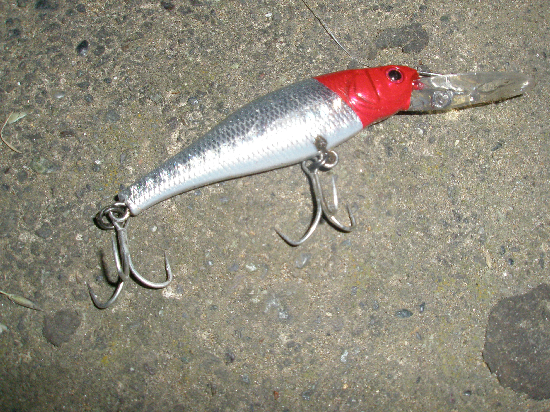 f0150151_2061669.jpg
