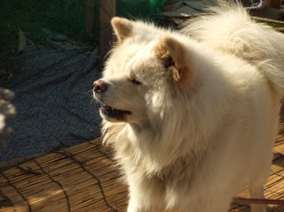 c0081552_21102477.jpg