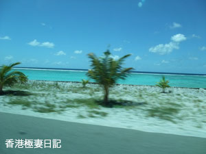 f0190653_10161869.jpg