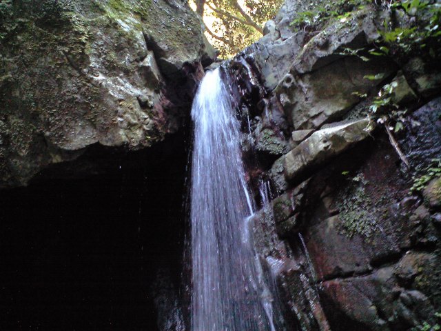 b0002156_4524643.jpg