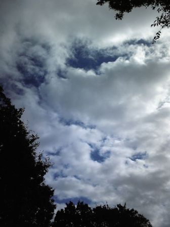 c0000461_113894.jpg
