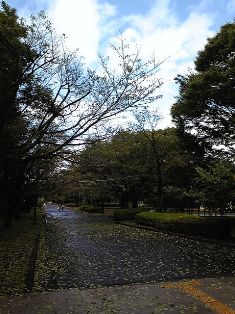 c0000461_12665.jpg