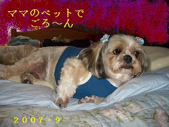 a0137263_385359.jpg