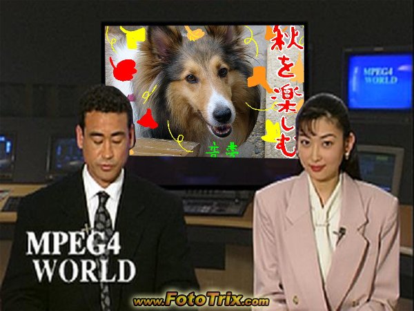 a0063364_1082442.jpg