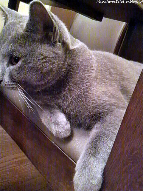 c0200365_0133426.jpg
