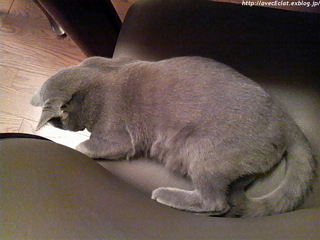 c0200365_019282.jpg