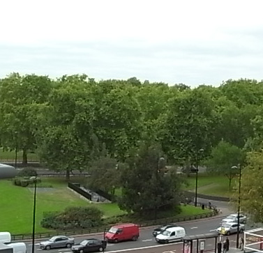 b0051666_1421661.jpg