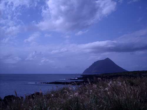 e0097770_1273718.jpg