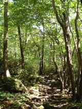 f0159270_22525363.jpg