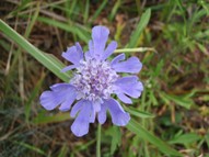 f0159270_23345072.jpg