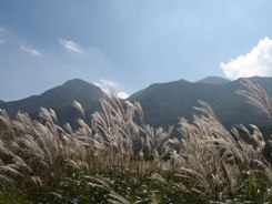 f0159270_2343939.jpg