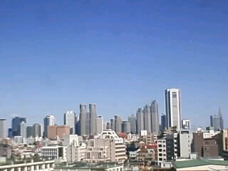 d0078172_1915037.jpg