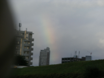 c0158573_8144815.jpg