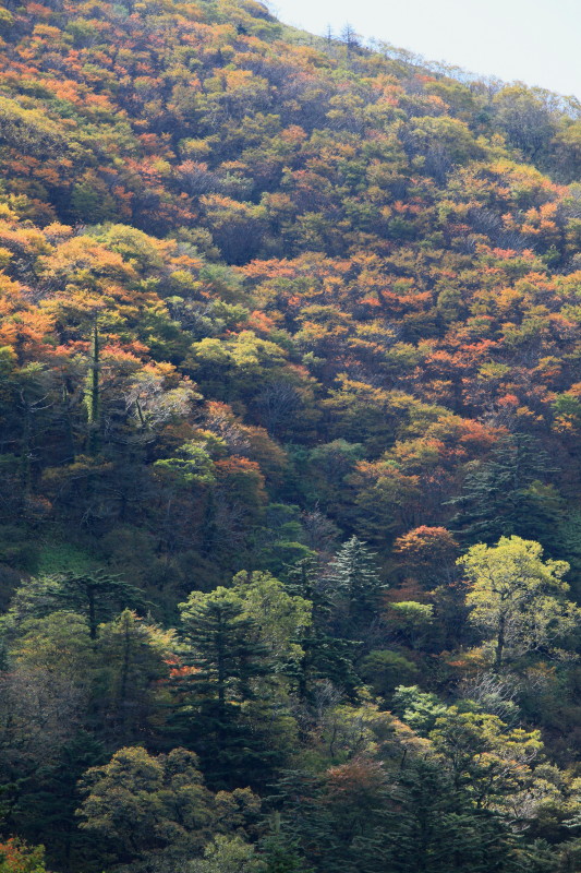 c0148777_20174283.jpg