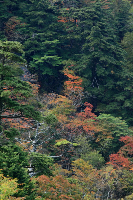 c0148777_20181219.jpg