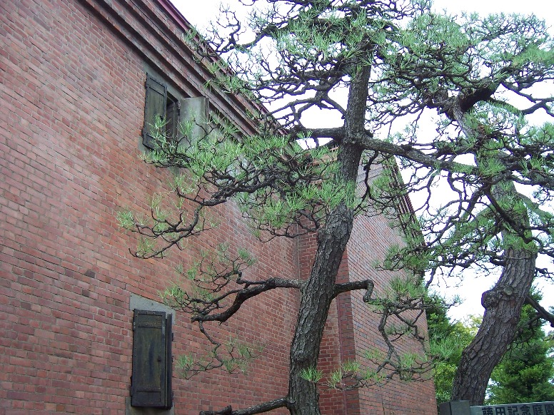 c0198781_484188.jpg