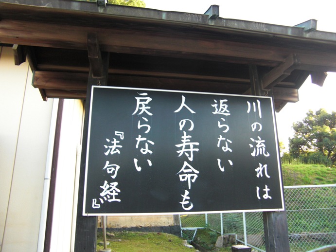 e0027681_0484236.jpg