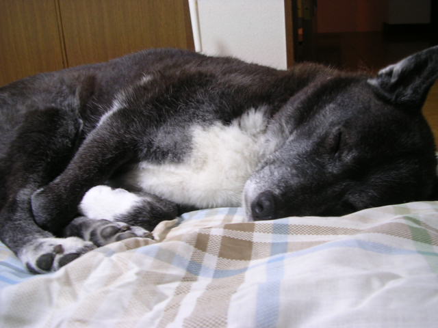 d0142182_11473098.jpg