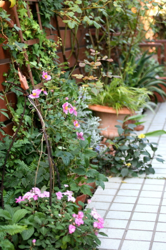 e0154682_16593724.jpg