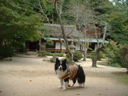 c0120585_22461830.jpg