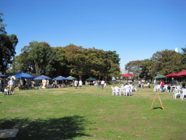 c0213785_22332283.jpg