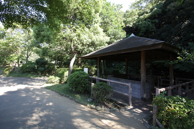 e0165885_20172371.jpg