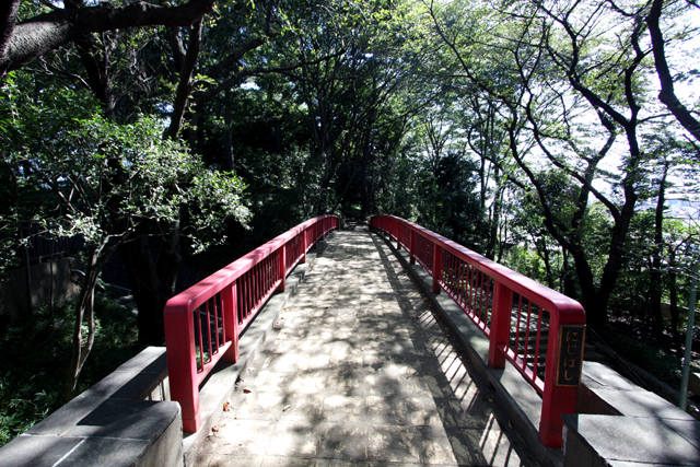 e0165885_209141.jpg