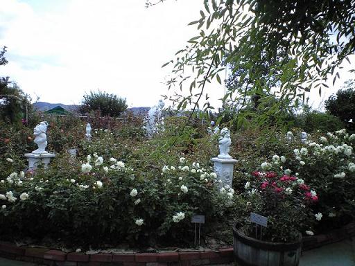 c0046587_19195554.jpg
