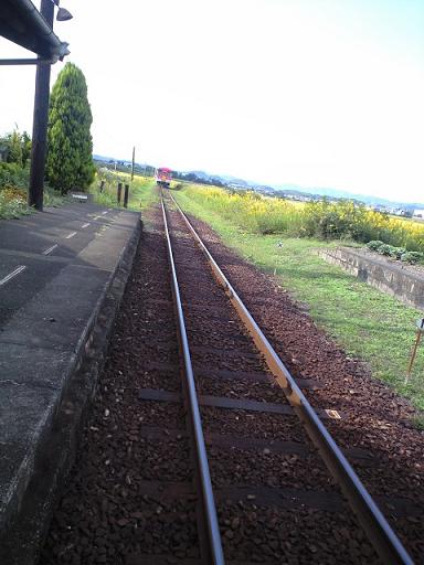 c0046587_22174450.jpg