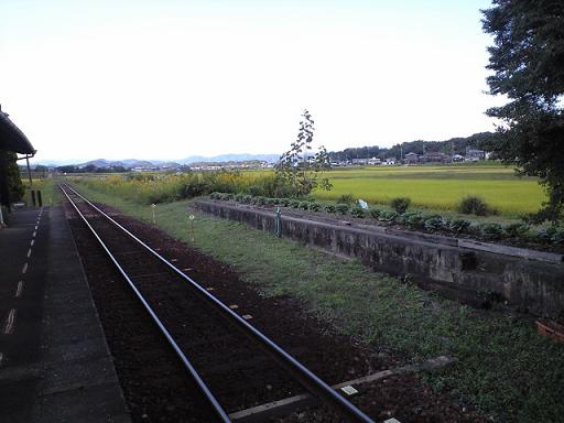 c0046587_22182129.jpg