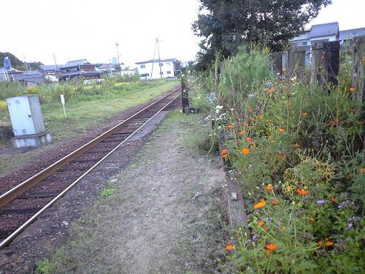 c0046587_22183219.jpg