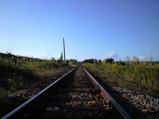c0046587_22262975.jpg