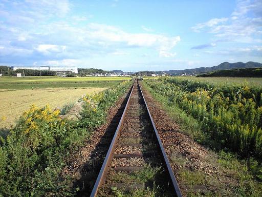 c0046587_22263428.jpg