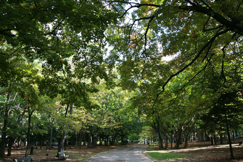 f0127388_16555729.jpg