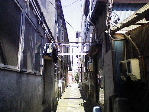 b0100489_741301.jpg