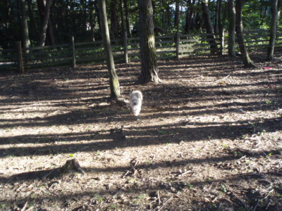 c0086895_22173157.jpg