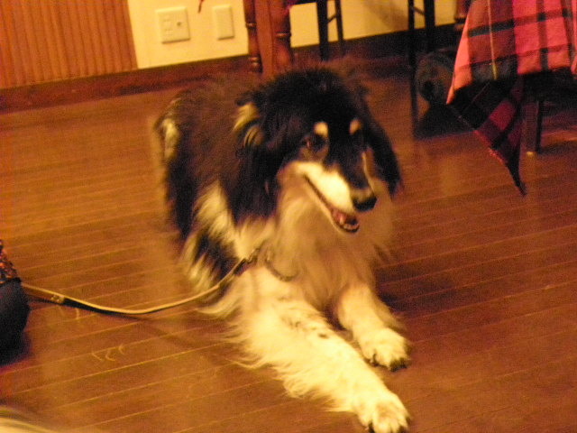 c0086895_22491235.jpg