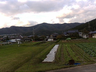 f0010195_21213749.jpg