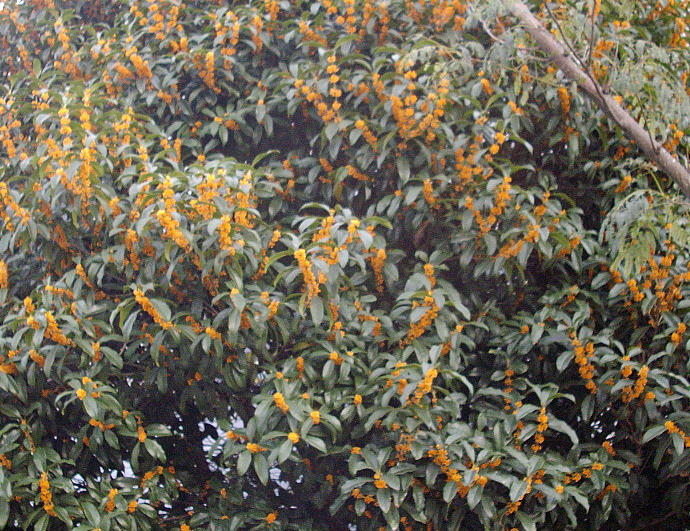 c0138198_1730699.jpg