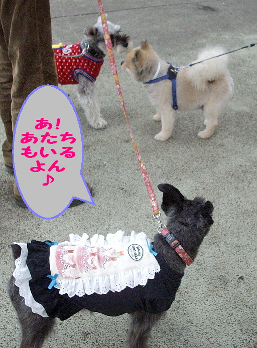 c0138198_17334770.jpg