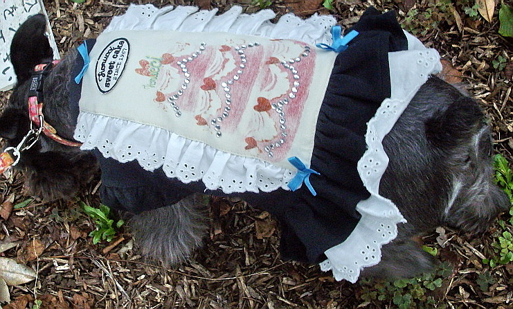 c0138198_17385388.jpg