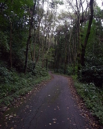 e0043700_22314056.jpg